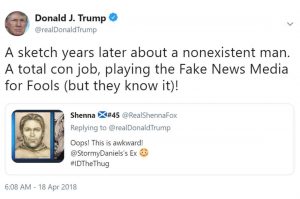 Trumps-Stormy-Tweet-wasnt-defamation-300x199